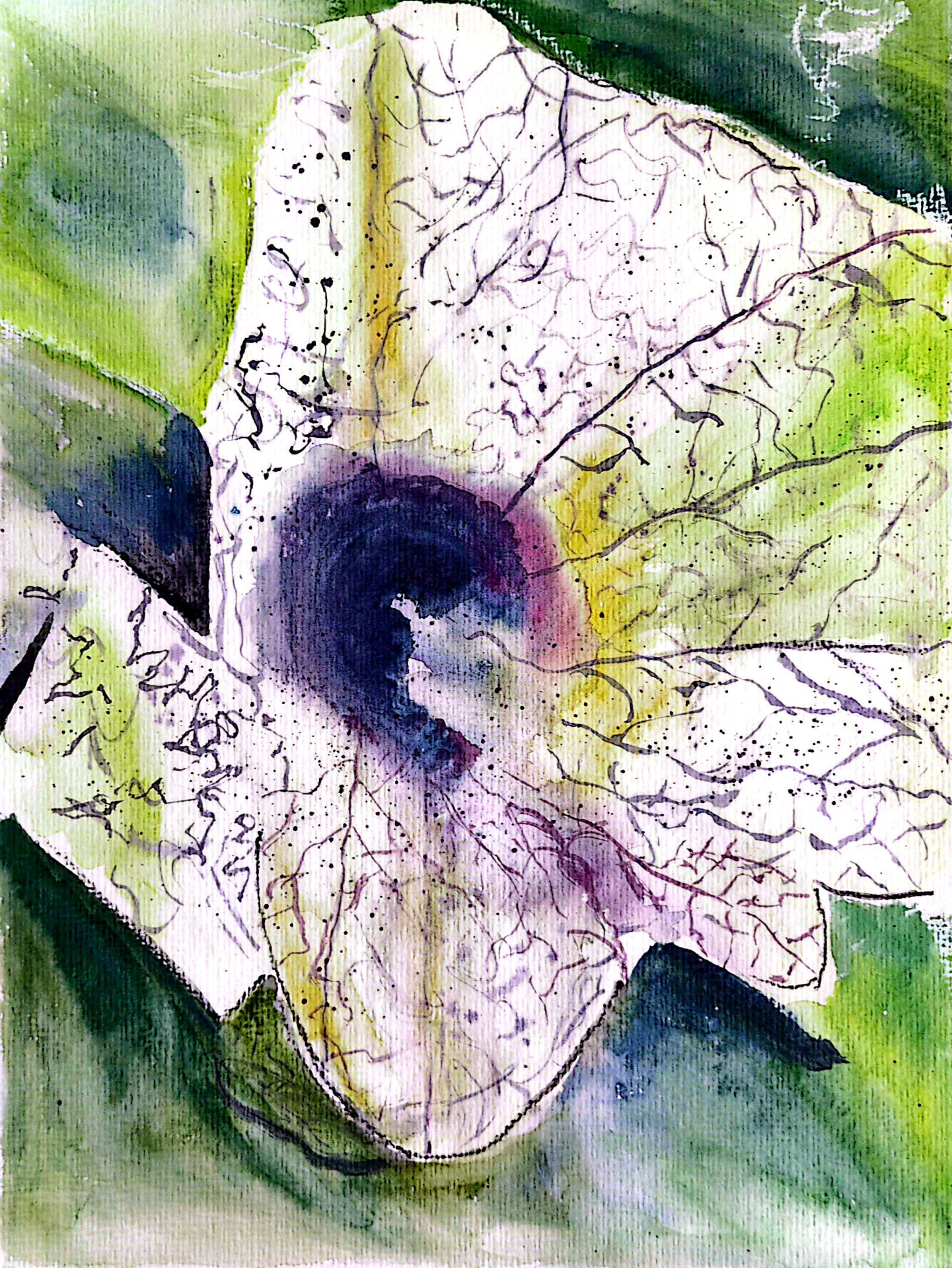 Henbane II